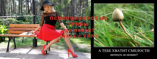 спайс Пересвет