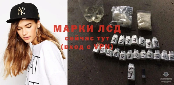 спайс Пересвет