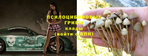 спайс Пересвет