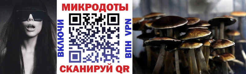 KRAKEN зеркало  мориарти телеграм  Псилоцибиновые грибы мухоморы  Чишмы 