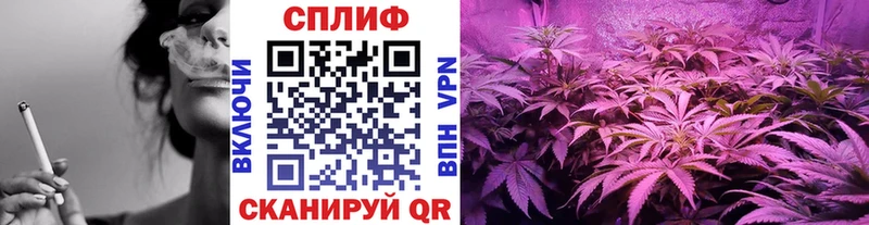 Конопля тримм  Чишмы 